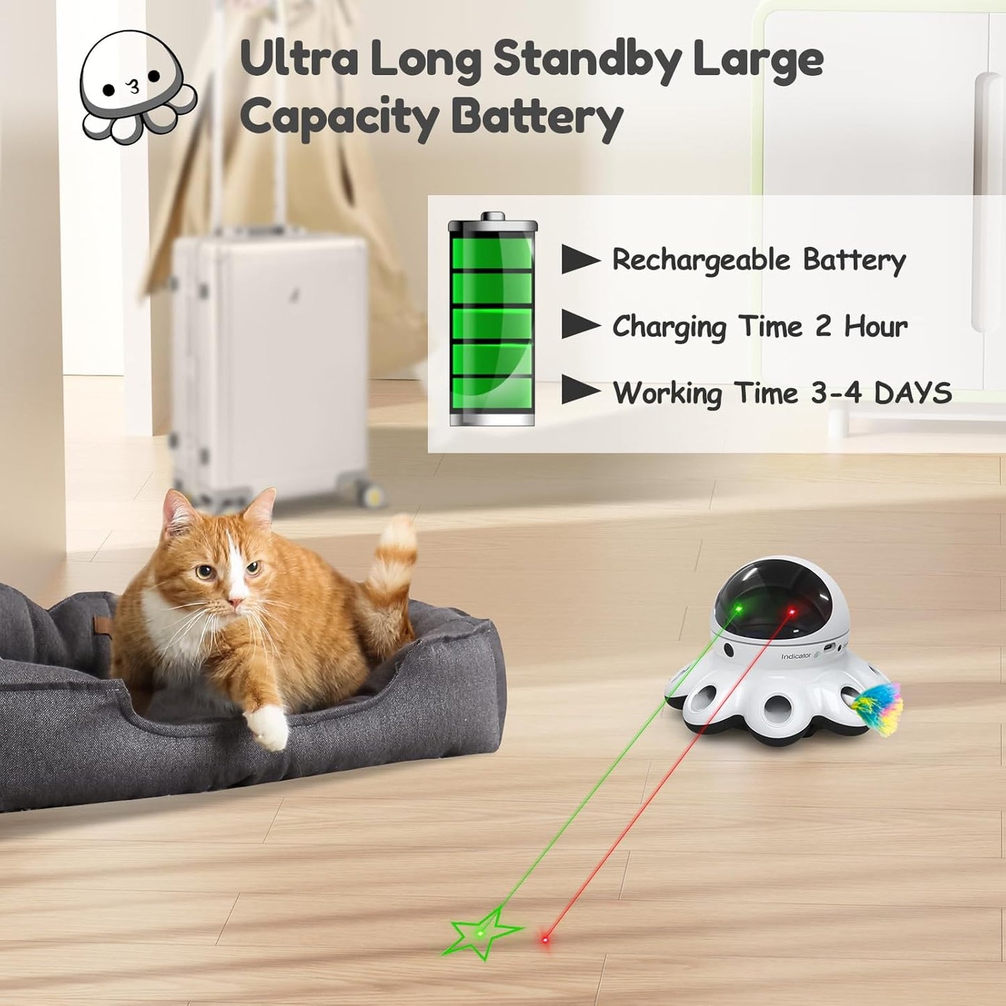 FurryFlash™ - 2-in-1 Toy
